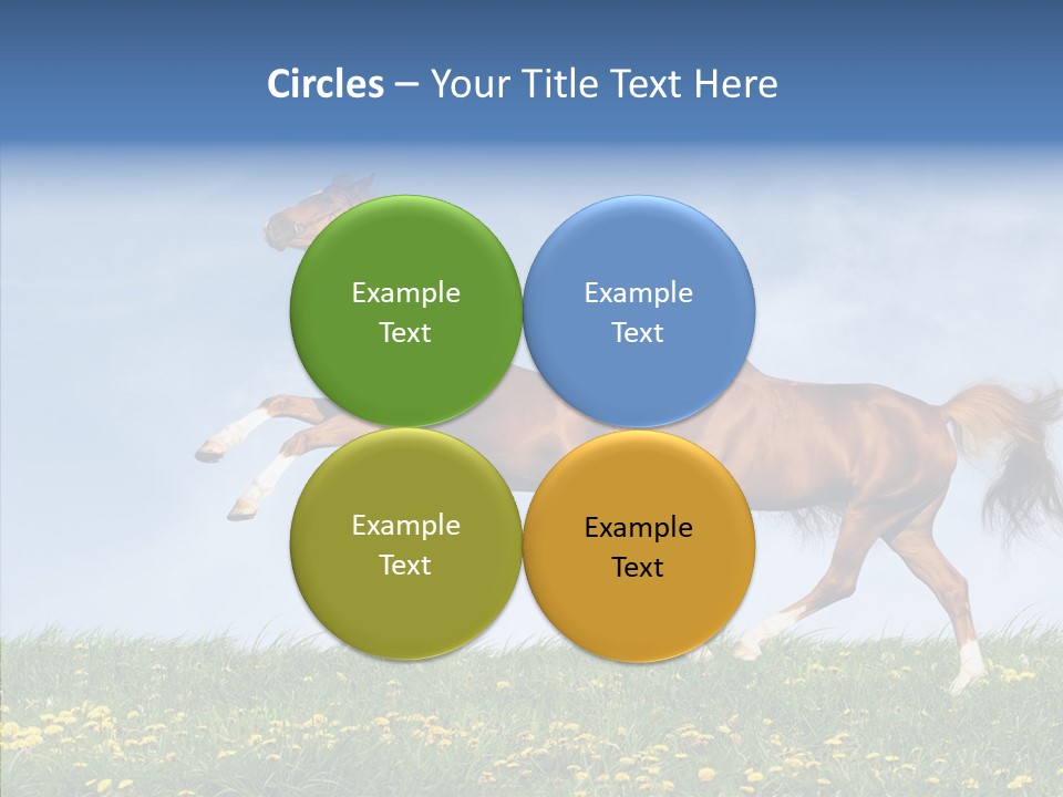 Outside Horse Orange PowerPoint Template