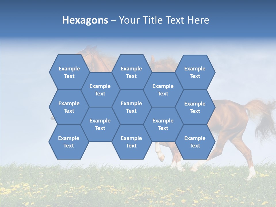 Outside Horse Orange PowerPoint Template