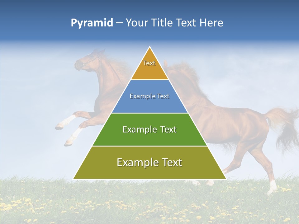 Outside Horse Orange PowerPoint Template