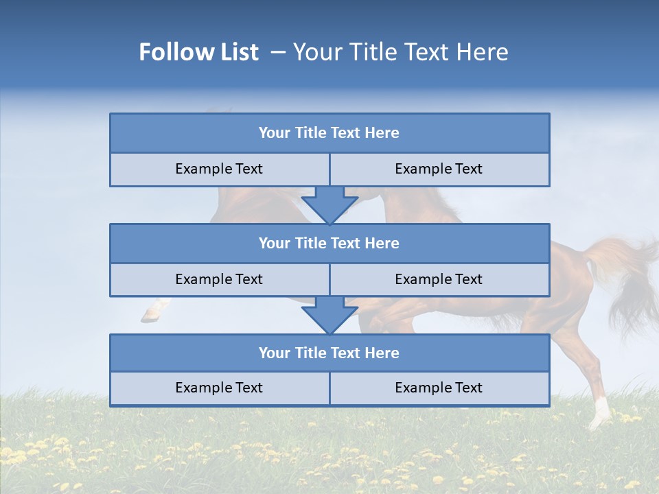 Outside Horse Orange PowerPoint Template