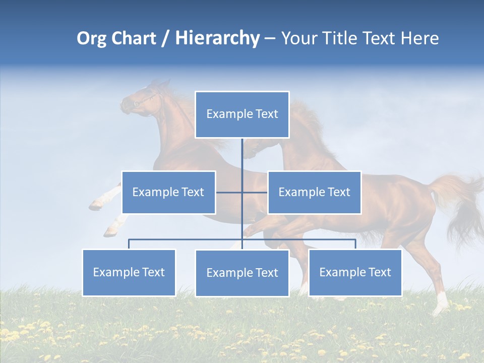 Outside Horse Orange PowerPoint Template
