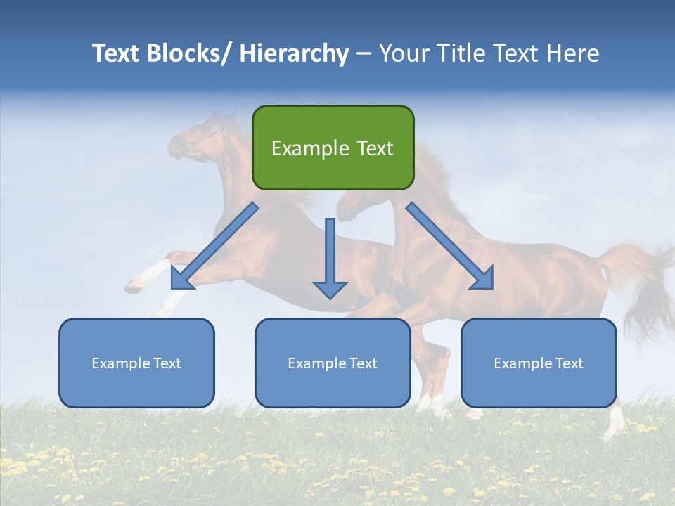 Outside Horse Orange PowerPoint Template