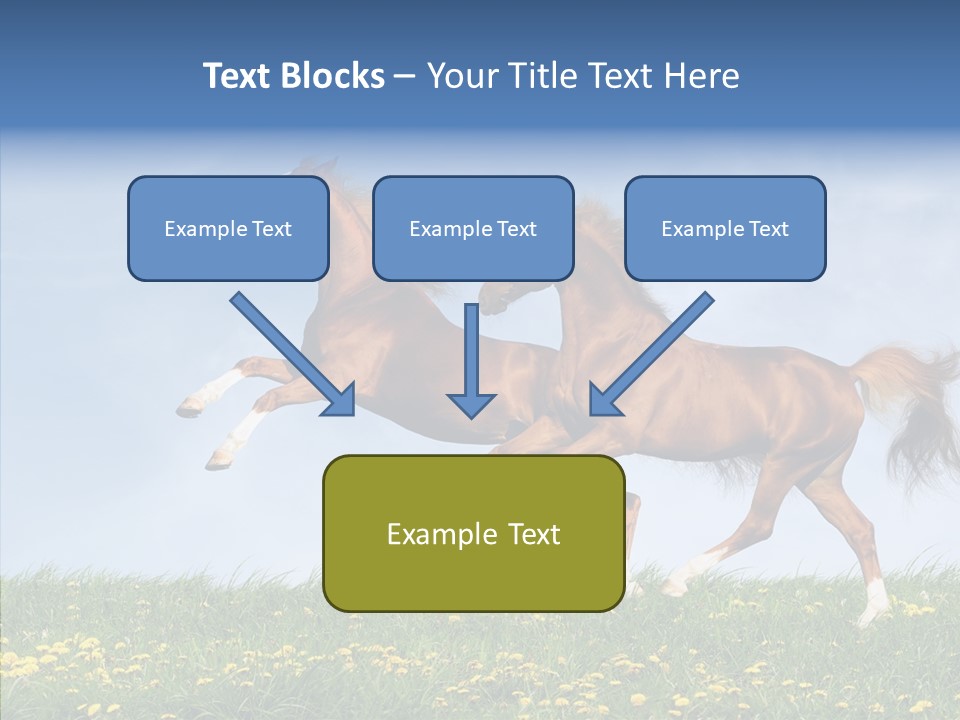 Outside Horse Orange PowerPoint Template