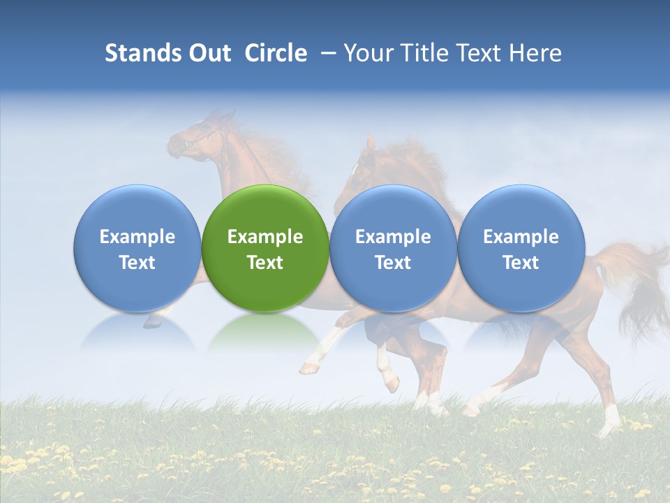 Outside Horse Orange PowerPoint Template