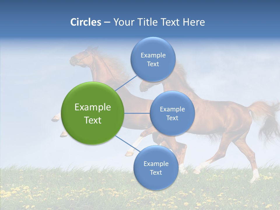 Outside Horse Orange PowerPoint Template