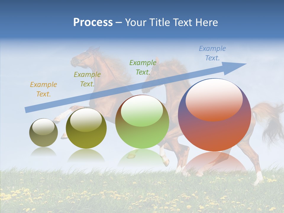 Outside Horse Orange PowerPoint Template