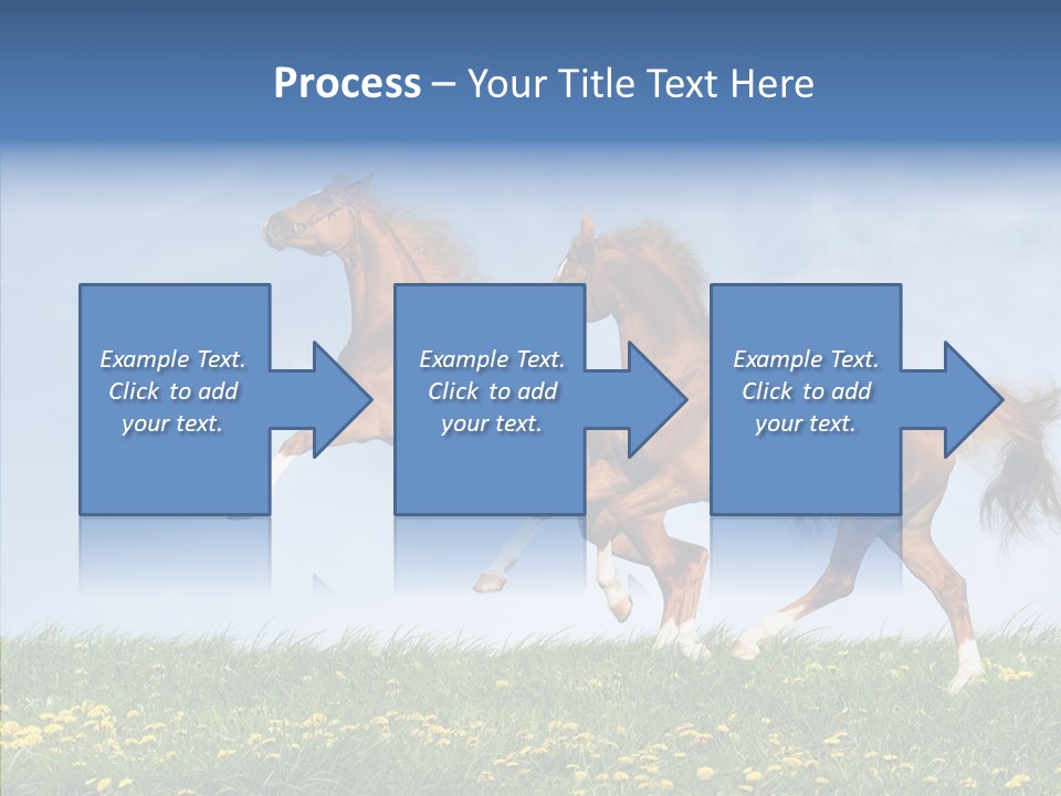 Outside Horse Orange PowerPoint Template