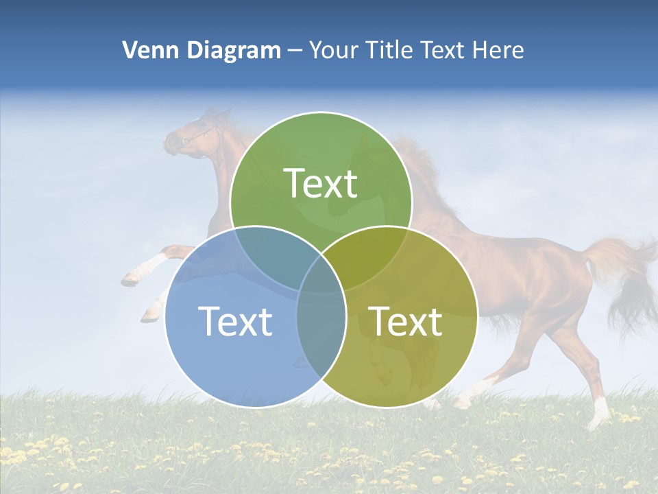 Outside Horse Orange PowerPoint Template