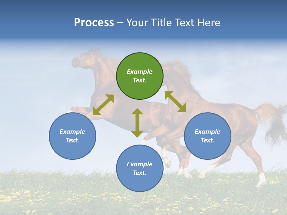 Outside Horse Orange PowerPoint Template