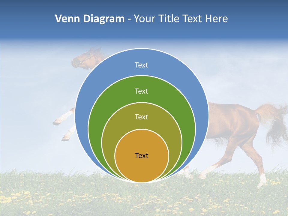 Outside Horse Orange PowerPoint Template