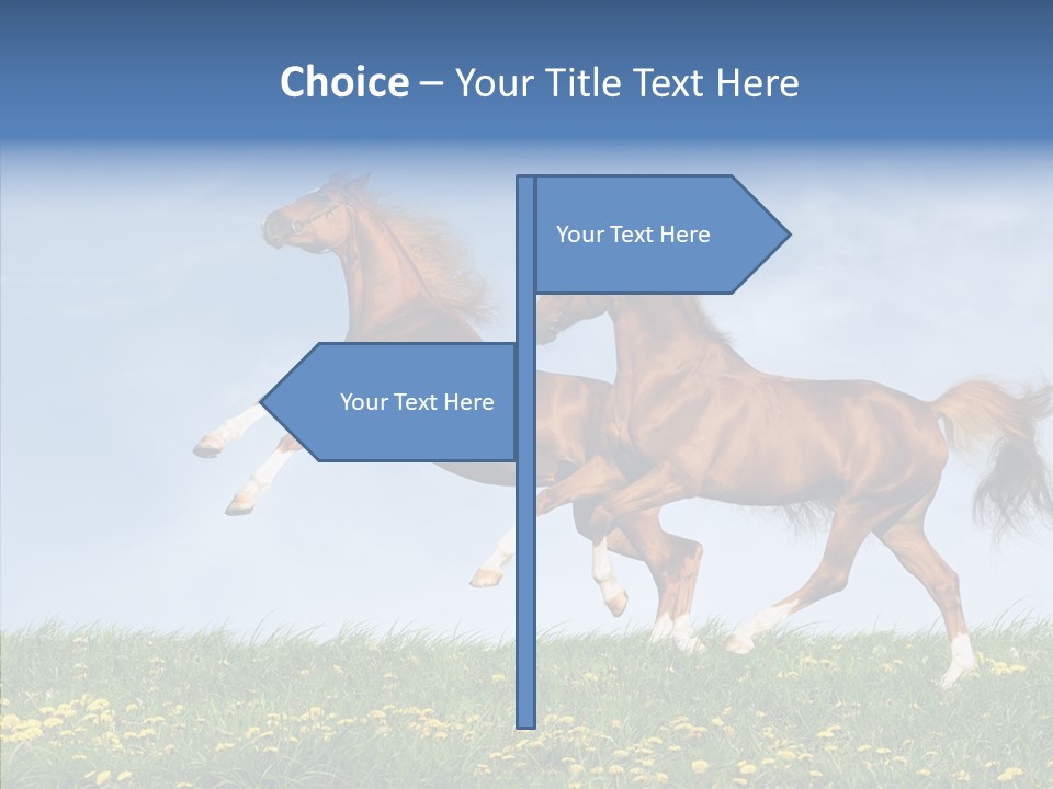 Outside Horse Orange PowerPoint Template