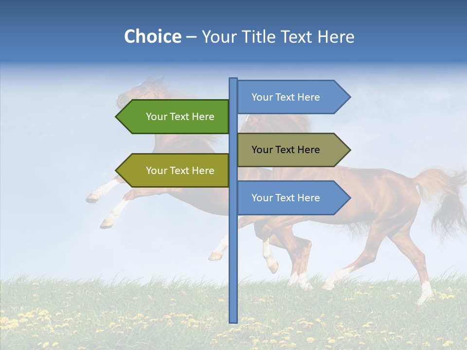 Outside Horse Orange PowerPoint Template