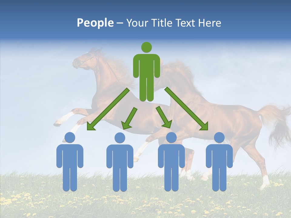 Outside Horse Orange PowerPoint Template