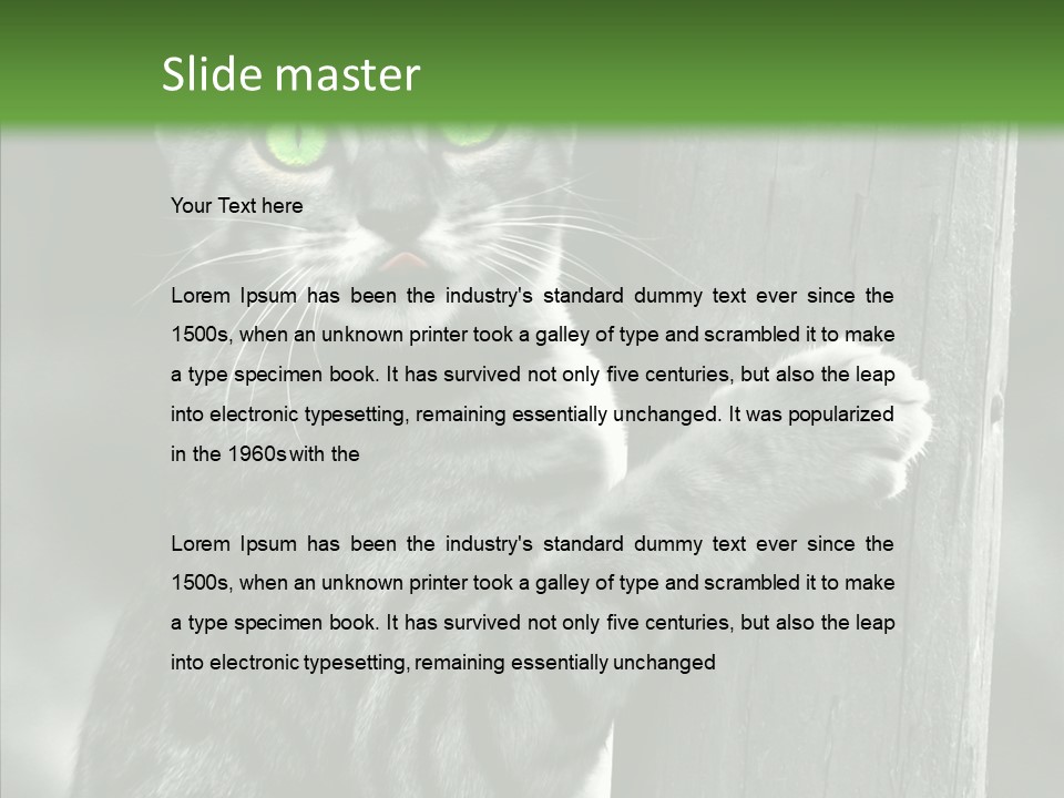 Feline Kitten Poster PowerPoint Template