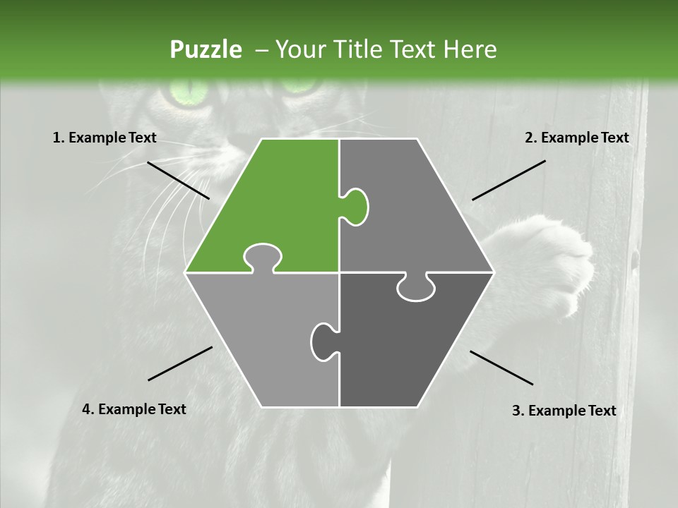 Feline Kitten Poster PowerPoint Template