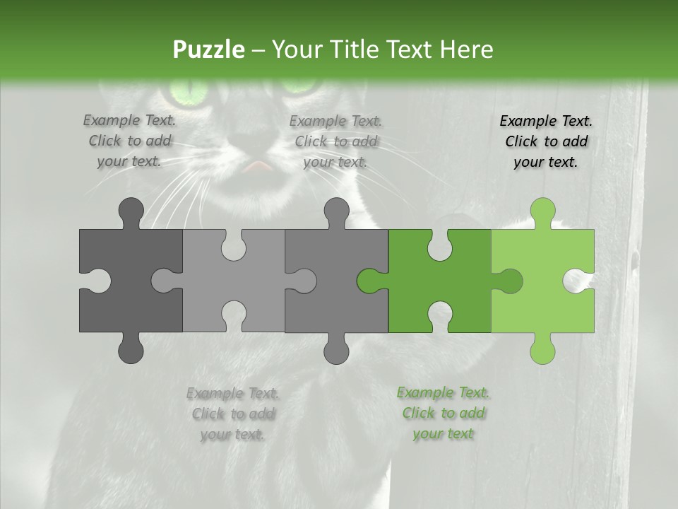 Feline Kitten Poster PowerPoint Template