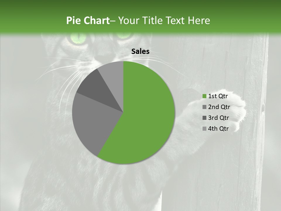 Feline Kitten Poster PowerPoint Template