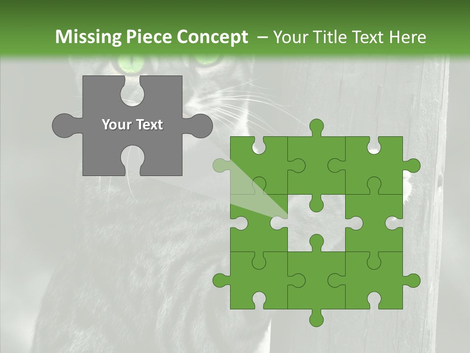 Feline Kitten Poster PowerPoint Template