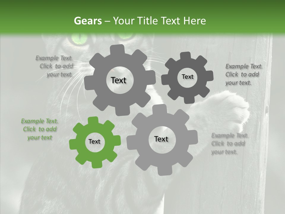 Feline Kitten Poster PowerPoint Template