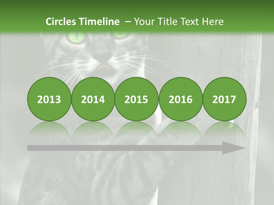 Feline Kitten Poster PowerPoint Template