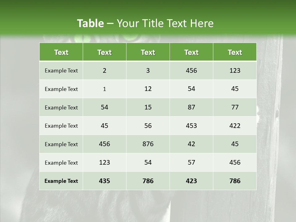 Feline Kitten Poster PowerPoint Template