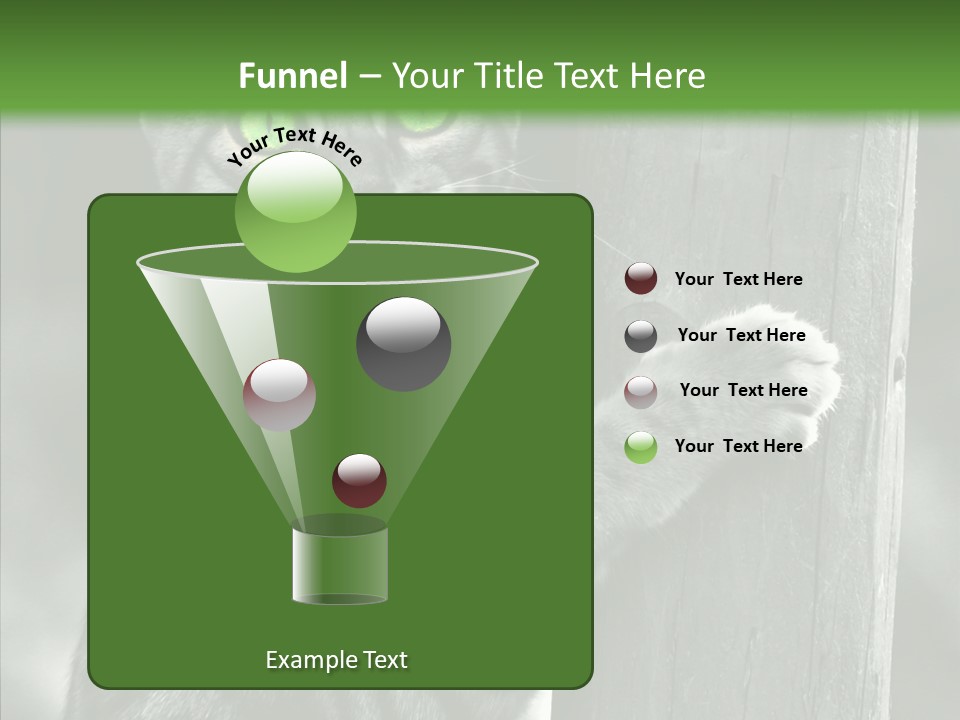 Feline Kitten Poster PowerPoint Template