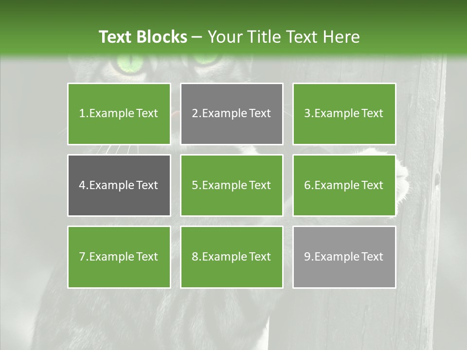 Feline Kitten Poster PowerPoint Template