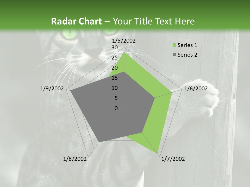 Feline Kitten Poster PowerPoint Template