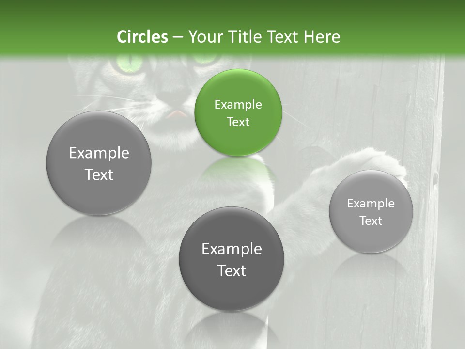 Feline Kitten Poster PowerPoint Template