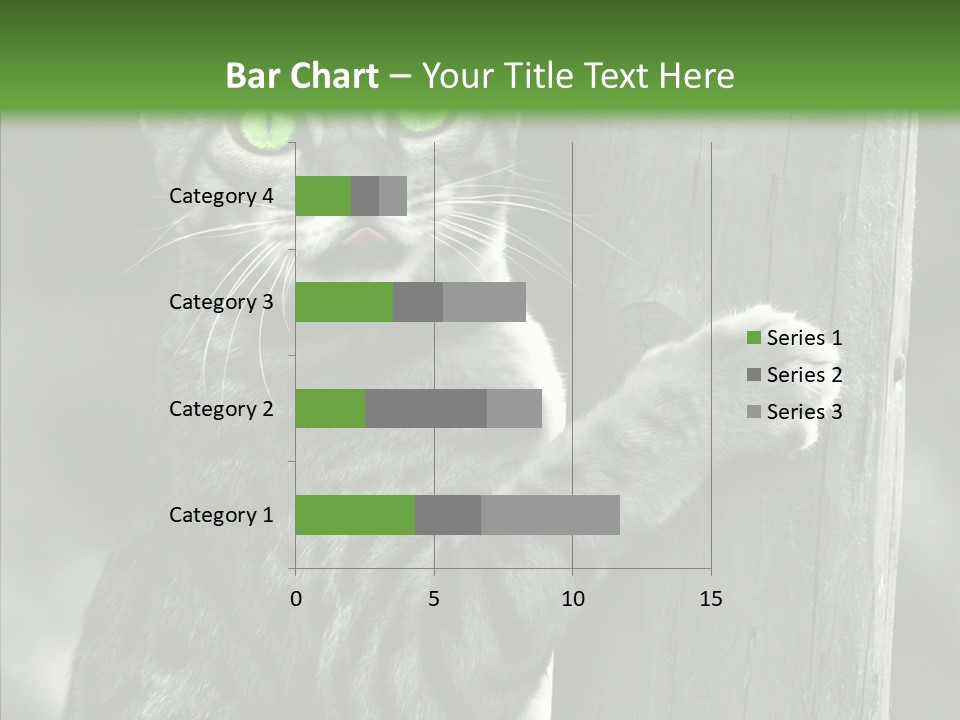 Feline Kitten Poster PowerPoint Template