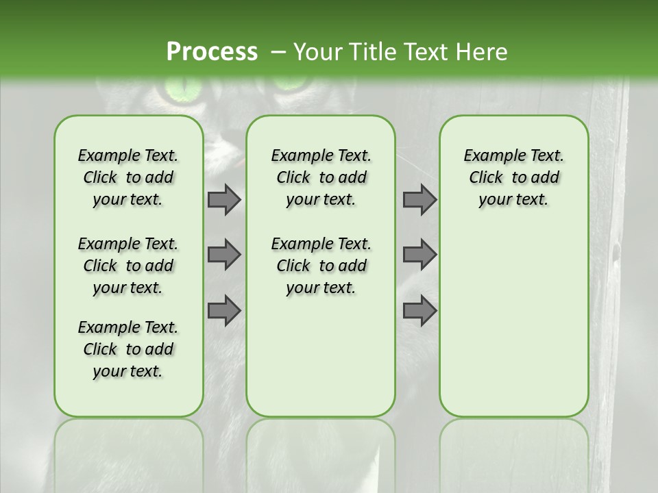 Feline Kitten Poster PowerPoint Template