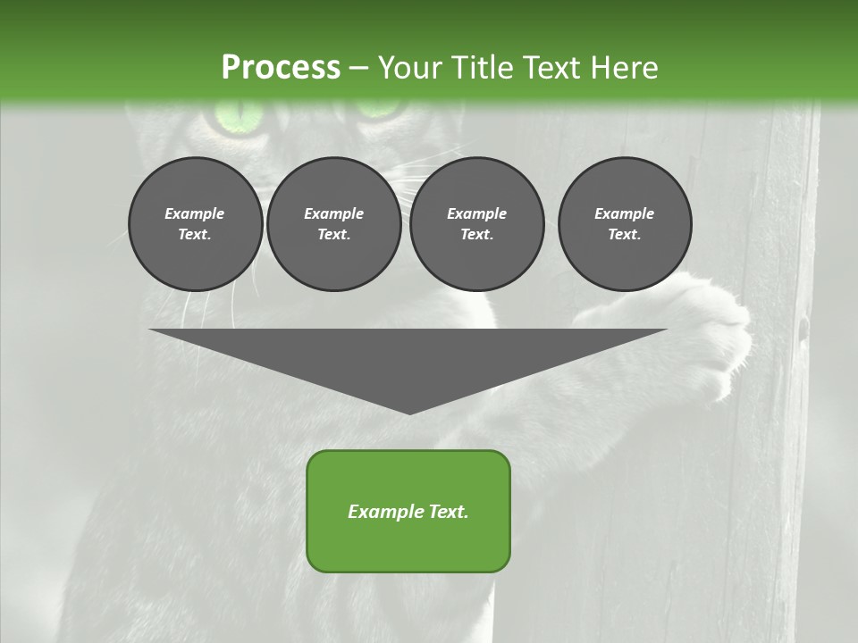 Feline Kitten Poster PowerPoint Template