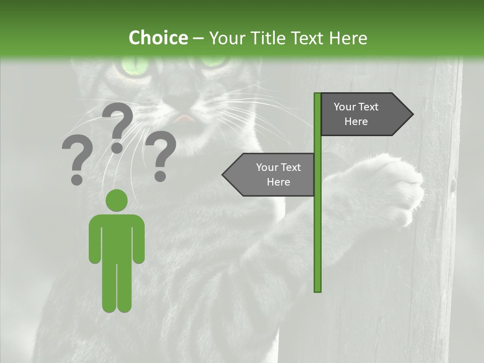 Feline Kitten Poster PowerPoint Template