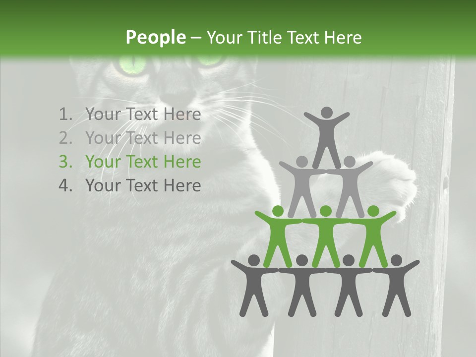 Feline Kitten Poster PowerPoint Template