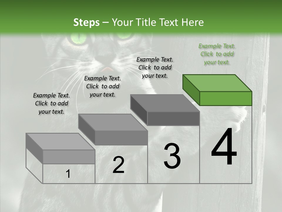 Feline Kitten Poster PowerPoint Template