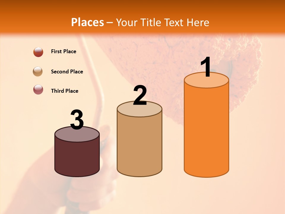 Choose Fix Bristles PowerPoint Template