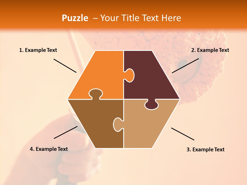 Choose Fix Bristles PowerPoint Template