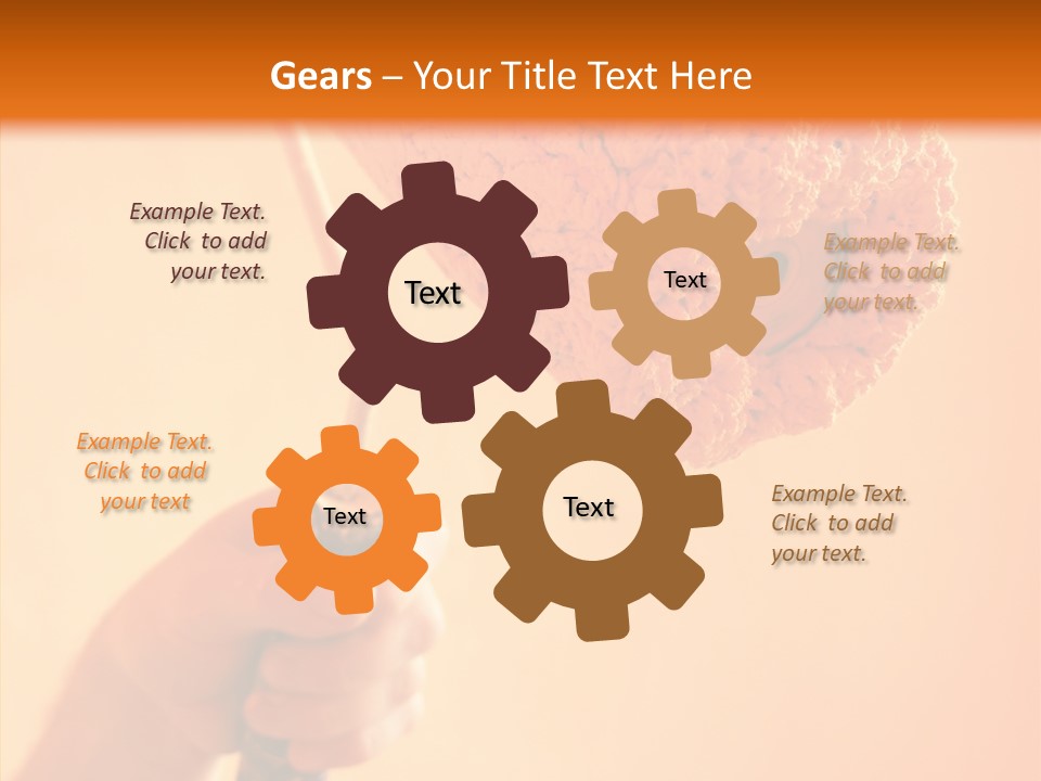 Choose Fix Bristles PowerPoint Template