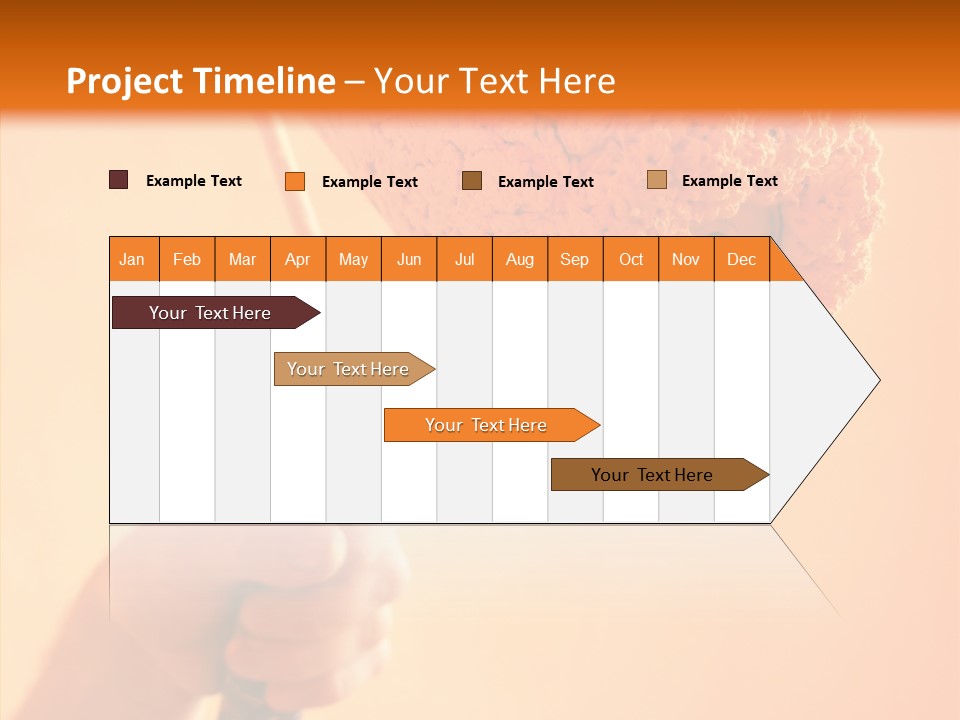 Choose Fix Bristles PowerPoint Template