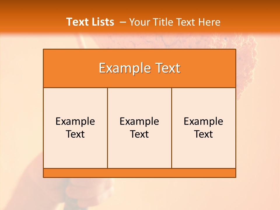 Choose Fix Bristles PowerPoint Template