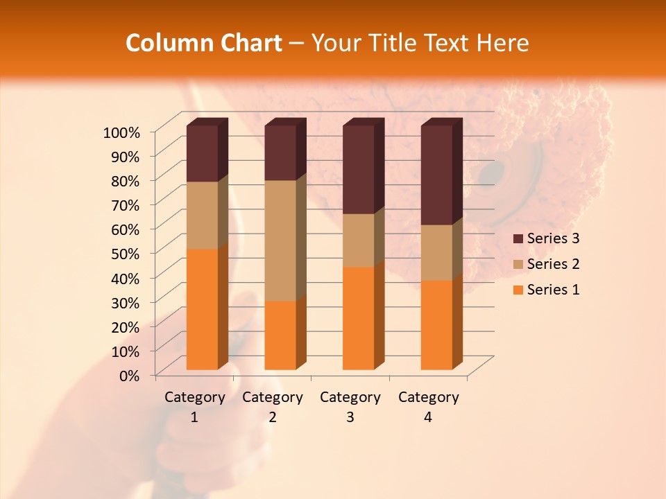 Choose Fix Bristles PowerPoint Template