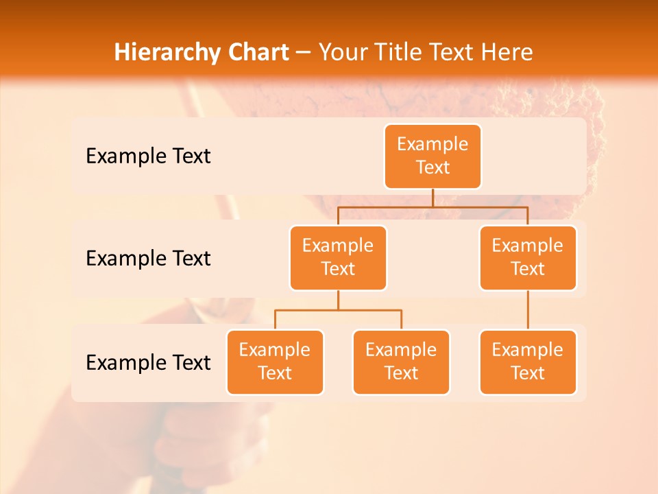 Choose Fix Bristles PowerPoint Template