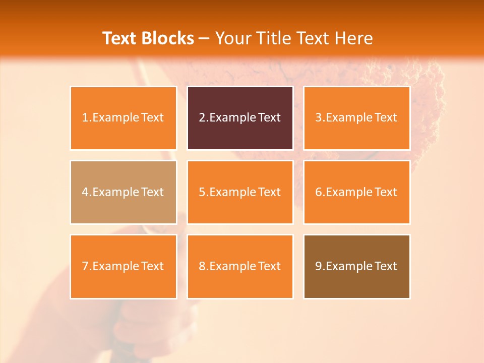 Choose Fix Bristles PowerPoint Template
