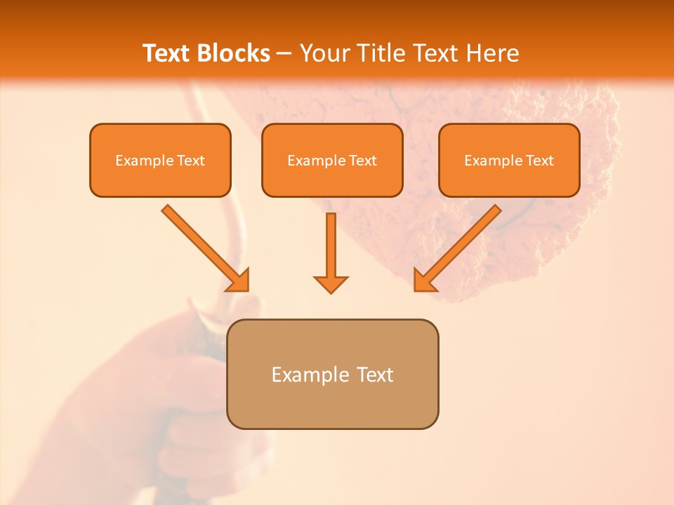 Choose Fix Bristles PowerPoint Template