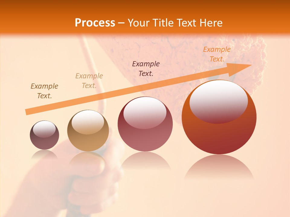 Choose Fix Bristles PowerPoint Template