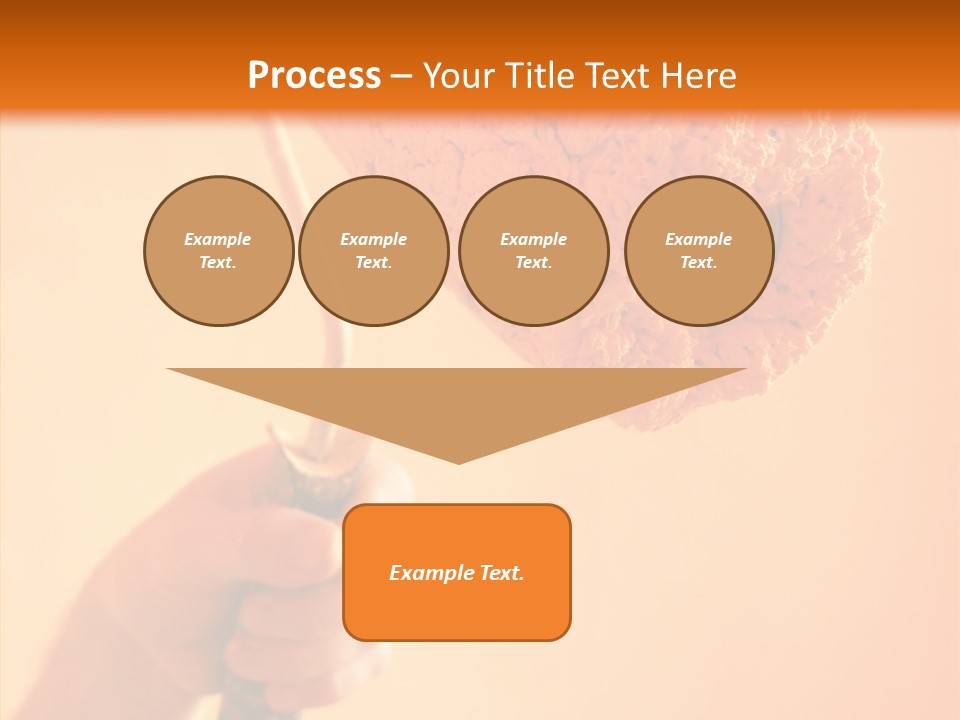 Choose Fix Bristles PowerPoint Template