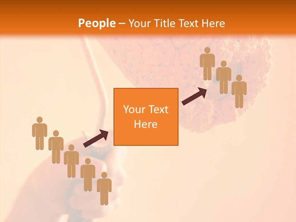 Choose Fix Bristles PowerPoint Template