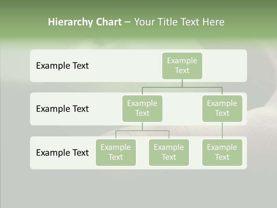 Closeup Simple Delicious PowerPoint Template