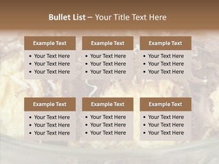 Product Cold Gourmet PowerPoint Template