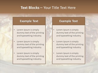 Product Cold Gourmet PowerPoint Template